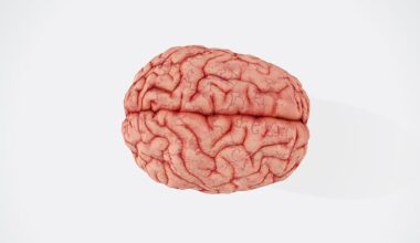 Maladie d'Alzheimer : les aliments les plus nocifs pour la santé du cerveau identifiés