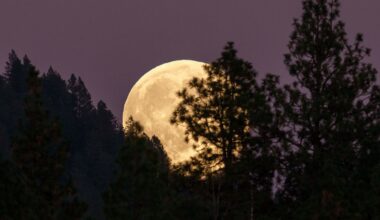 L'Europe veut industrialiser l'espace. Qu'est-ce que « l'économie lunaire » ?