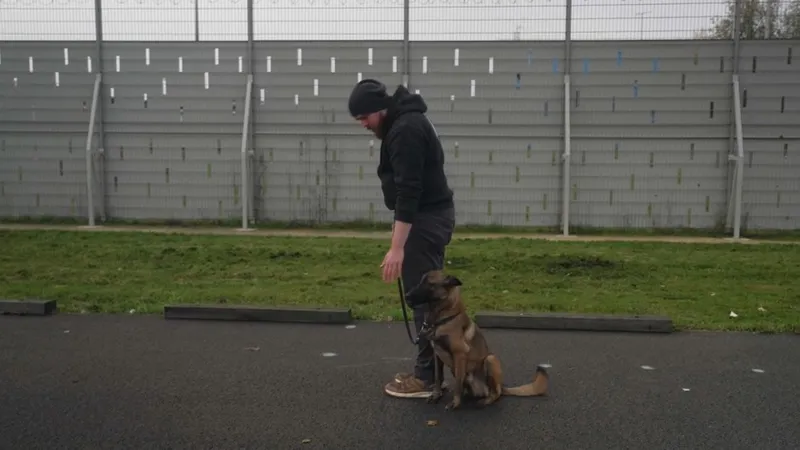 Fred, gardien pénitentiaire, entraîne l'un des futurs chiens bientôt employés dans les prisons.