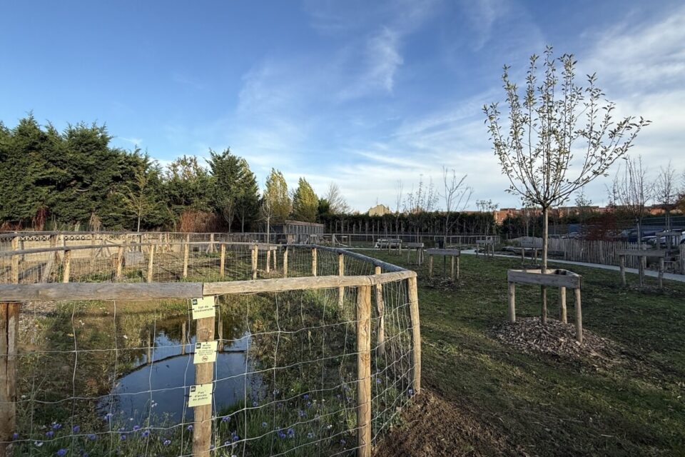 square oum kalthoum lille sud