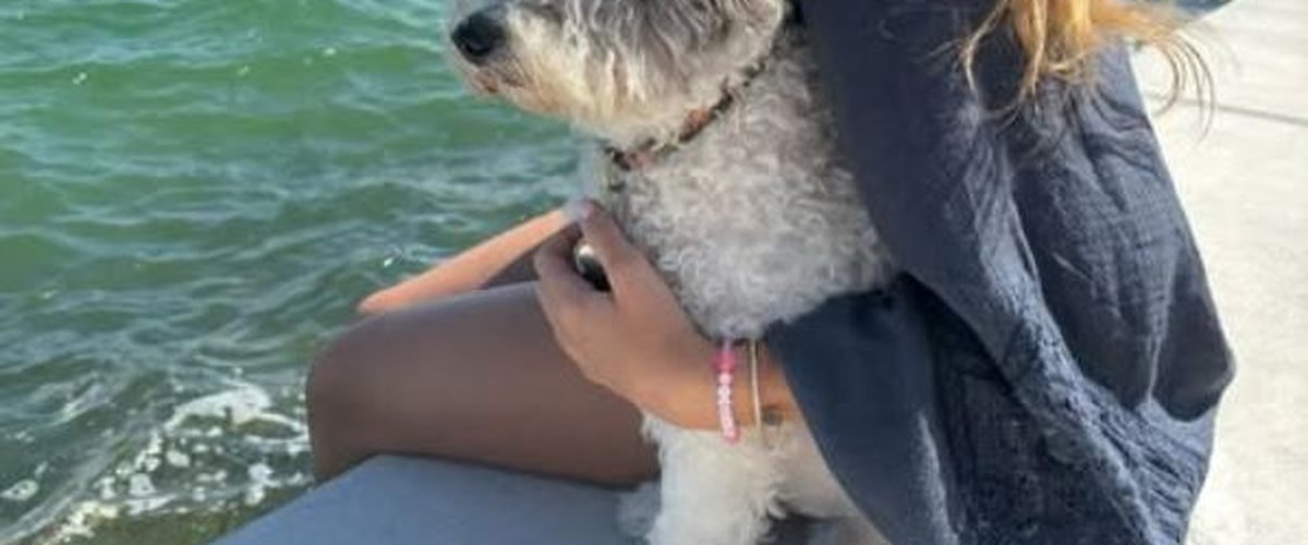 "Pas pour les petits", "qu’il joigne son relevé bancaire" : une joueuse star cherche l’amour, elle passe une annonce très particulière