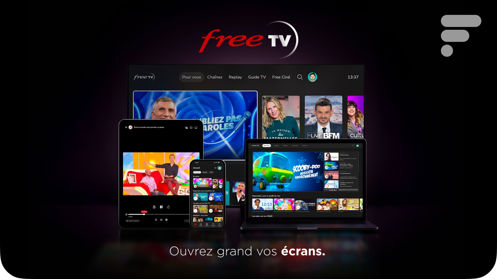 déjà du bridage pour les chaines du groupe TF1