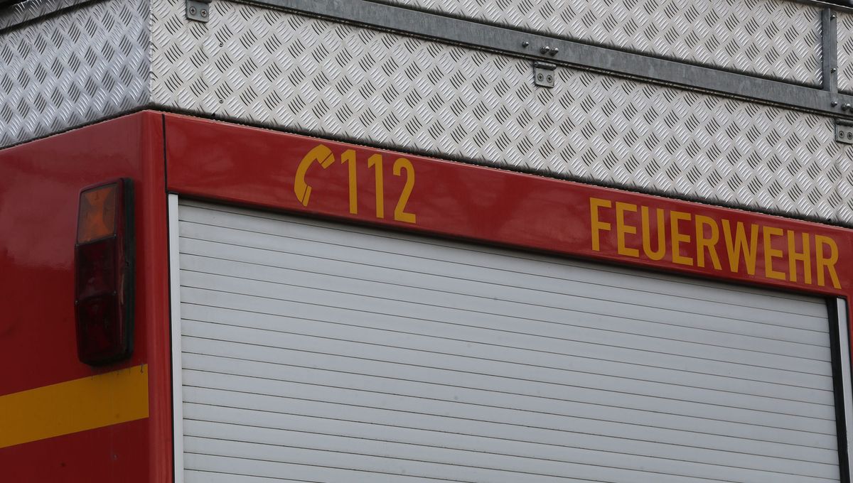 illustration agrandir l