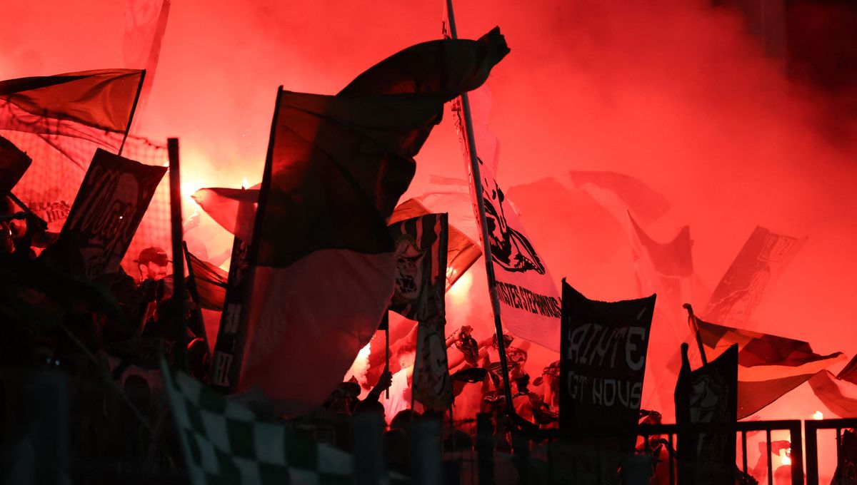 illustration agrandir l