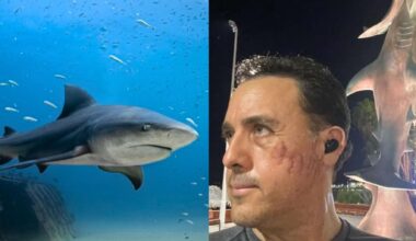 Un mois après avoir survécu à une attaque de requin, ce biologiste espère le recroiser