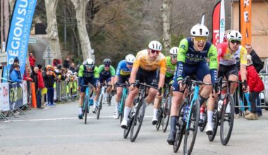 Une quatrième arrivée au VCU Schwenheim - Actualité