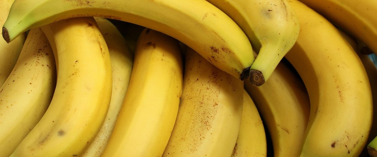 Droits de douane : café, bananes… Les États-Unis suppriment les surtaxes sur plusieurs biens alimentaires, quels pays sont les grands gagnants ?