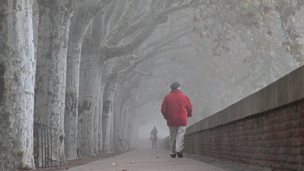 Chute des températures, gelées en plaine, vent glacial… À quoi faut-il s’attendre cette semaine à Toulouse ?