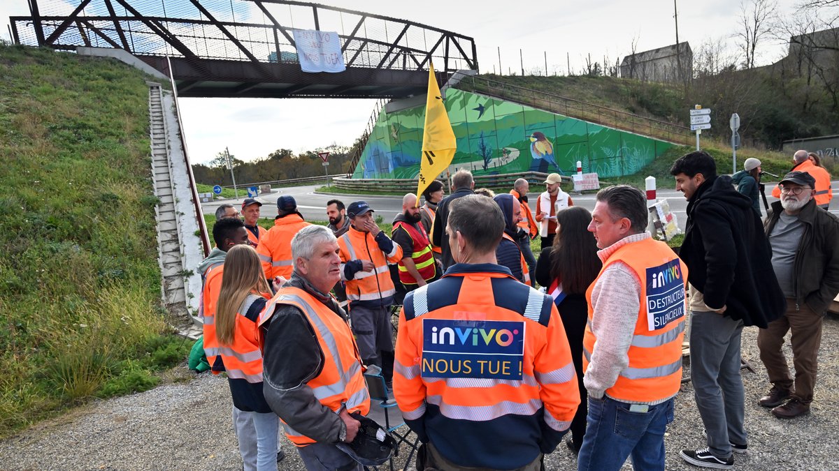 "Un à Rouen, l’autre dans l’Essonne"… Suite à la fermeture de ce moulin tarnais, des reconversions absurdes sont proposées aux salariés