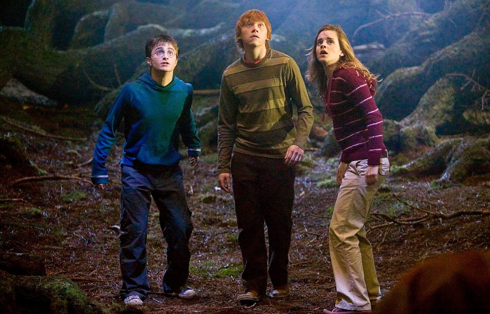 Poudlard face à la menace fasciste