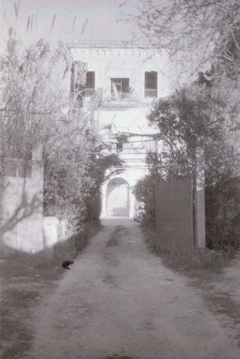 La force du café conditionne le grain du développement.