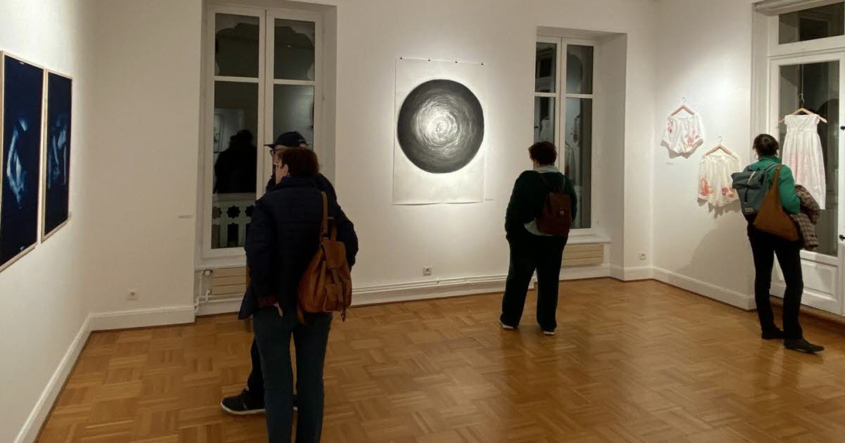 Malzéville. Il reste un week-end pour l’expo AliceS