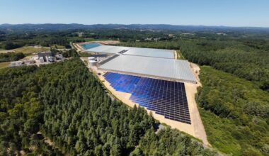 Les Tomates d'Auïtou_Rosiers-d'Egletons_Newheat