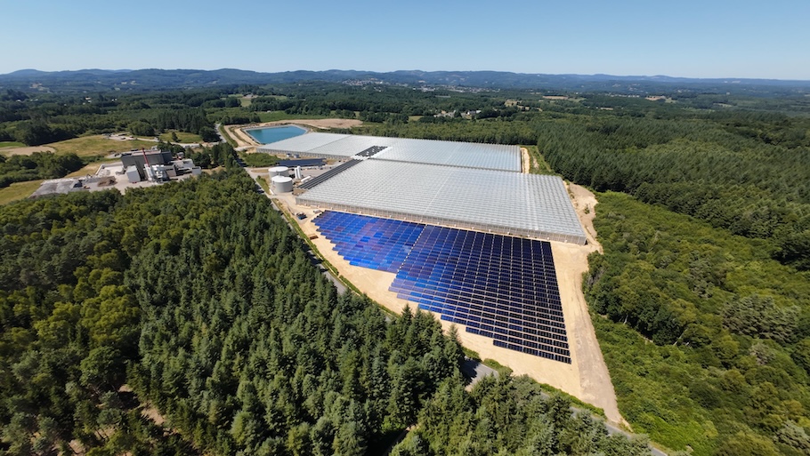 Les Tomates d'Auïtou_Rosiers-d'Egletons_Newheat
