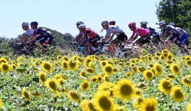 Tour de France 2026 : "Difficile de trouver pire !" Pourquoi des milliers de personnes s’opposent au déroulement de l’avant-dernière étape