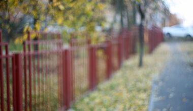 Panique dans une école maternelle : les enfants rapportent un doigt humain à leur maîtresse trouvé dans la cour de récréation