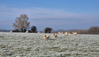 illustration agrandir l