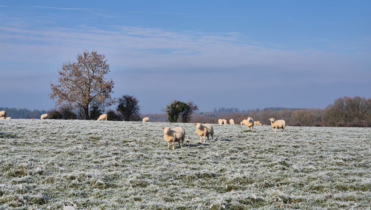 illustration agrandir l