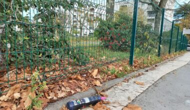 illustration agrandir l