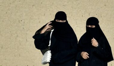 "S’ils veulent que je la retire, qu’ils l’interdisent !": une sénatrice choque le Parlement en siégeant en burqa