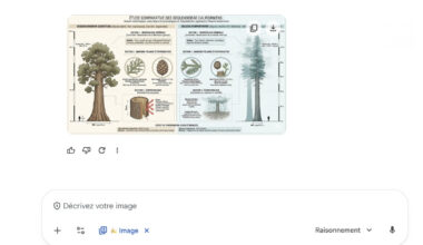 On a testé Nano Banana Pro avec Gemini 3, c'est bluffant — Frandroid