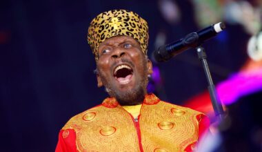 illustration agrandir l