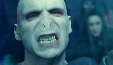 t'es un sang de bourbe si t'as pas 10/10 à ce quiz (très facile) sur Lord Voldemort