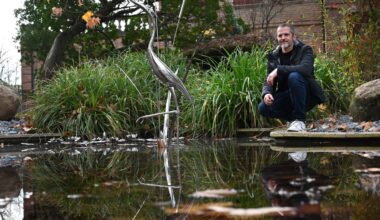 "Je n’avais jamais tenu de disqueuse et je ne savais pas souder" : Julien Bernard, l’employé municipal qui embellit les jardins de ses sculptures en métal