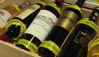 12 personnes jugées dans le procès du "gang des grands crus" à Bordeaux