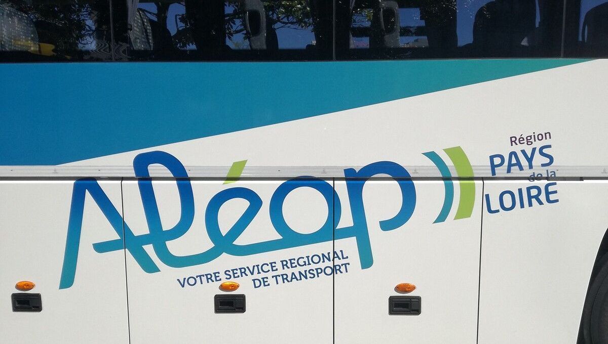 illustration agrandir l