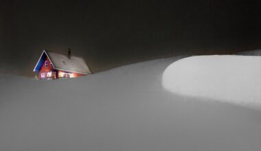 Avec "Winterland" et ses photographies enneigées, Christophe Jacrot alerte sur le monde fragile de l'hiver