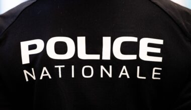 deux clandestins pris en flagrant délit d'agression sexuelle dans un centre commercial