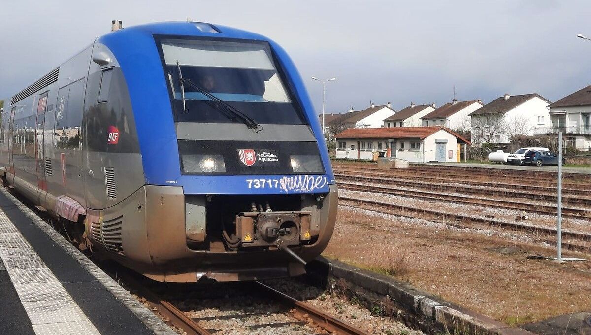 illustration agrandir l