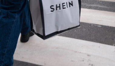 comment le gouvernement peut-il faire bloquer Shein en France ?