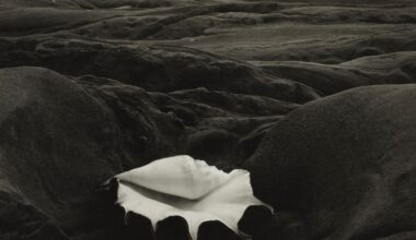 Visionnaire et perfectionniste, Edward Weston, le photographe qui savait magnifier le banal