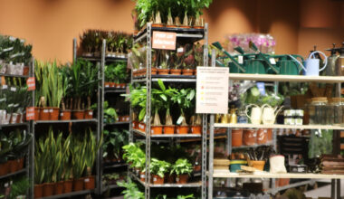 2000 plantes vendues près de Grenoble : découvrez où et quand