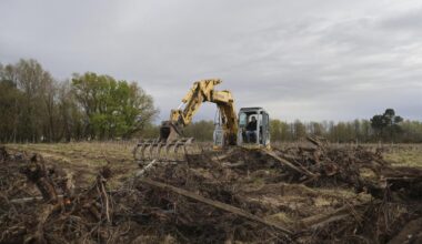 Avec les arrachages successifs, le vignoble bordelais est en train de perdre autour de 20 000 hectares.