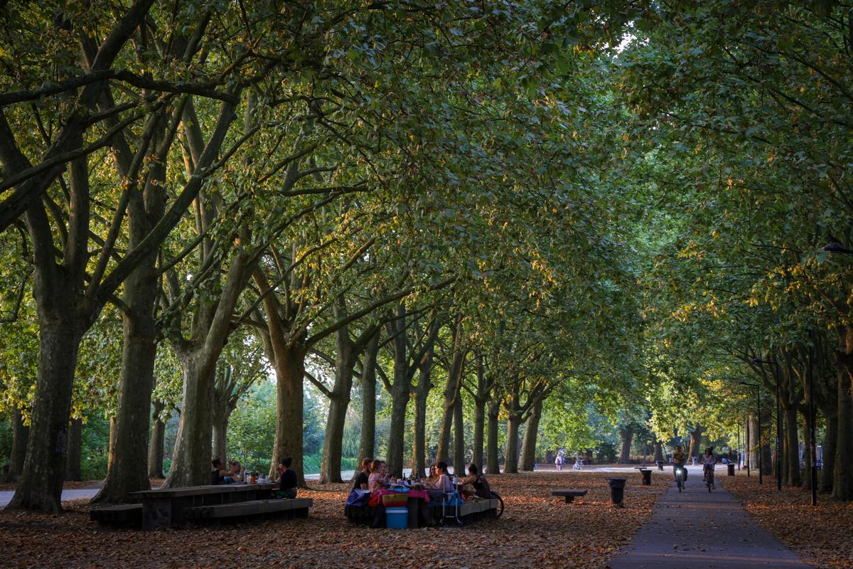 avec L’Arbre en fête, Bordeaux Métropole célèbre la poésie des troncs