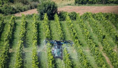 à Villenave-d’Ornon, une réunion publique sur la surexposition des riverains de la vigne