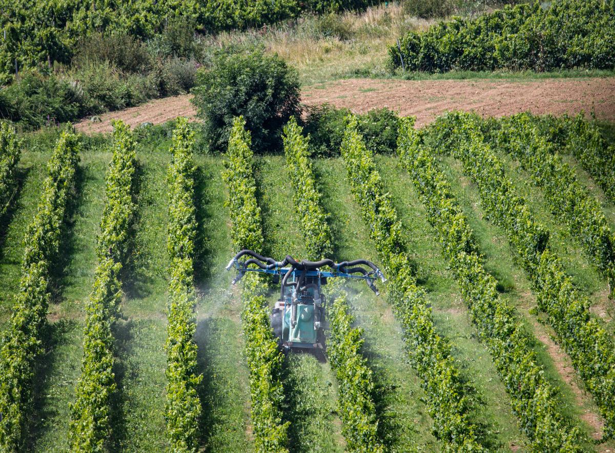 à Villenave-d’Ornon, une réunion publique sur la surexposition des riverains de la vigne
