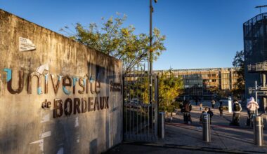 qui est candidat aux élections ?