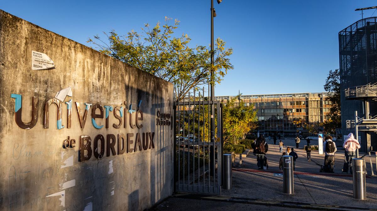 qui est candidat aux élections ?