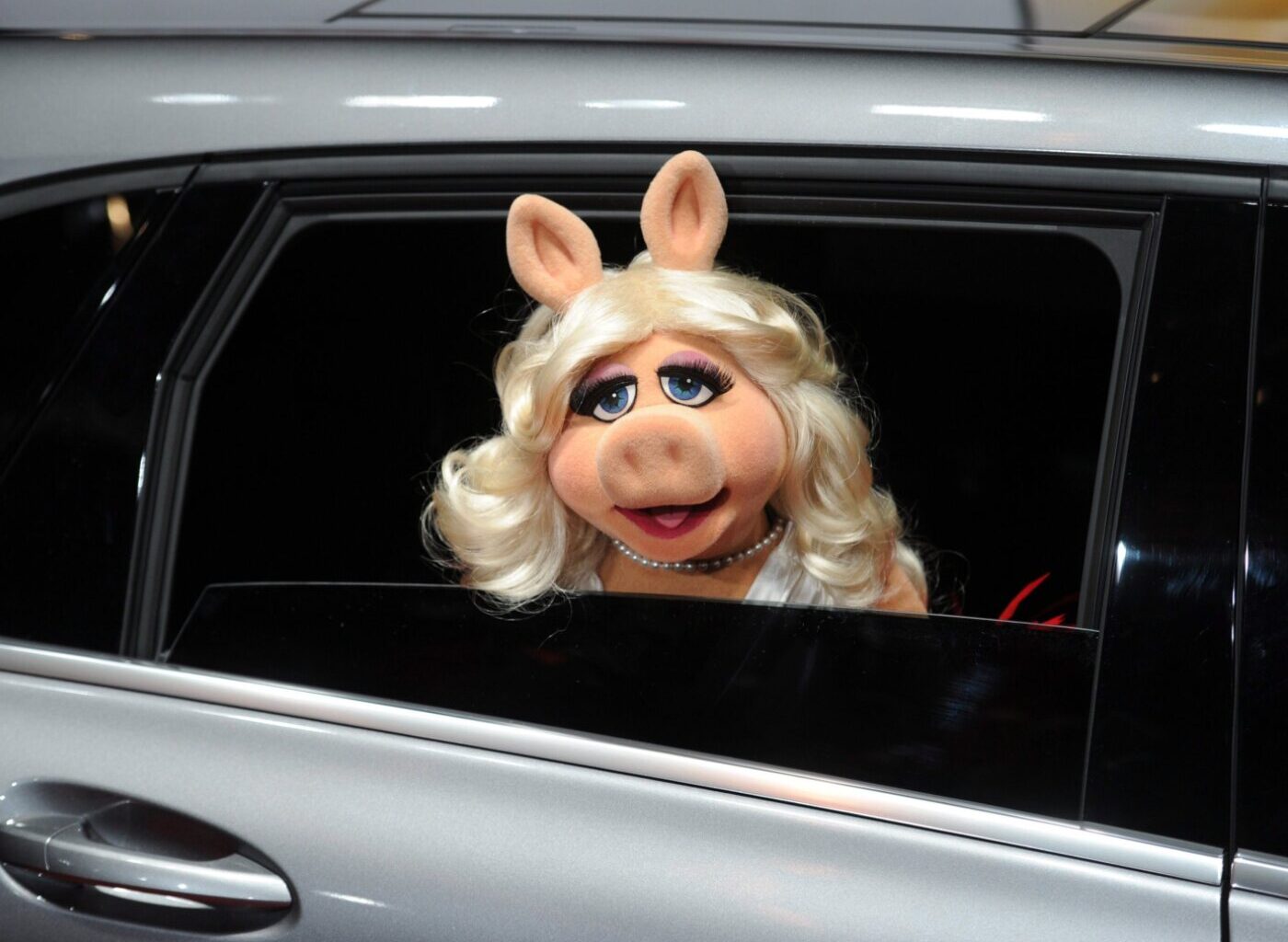 Logo de l'application