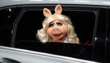 Logo de l'application