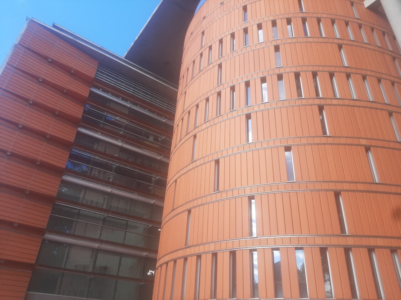 un homme condamné à de la prison par le tribunal à Toulouse