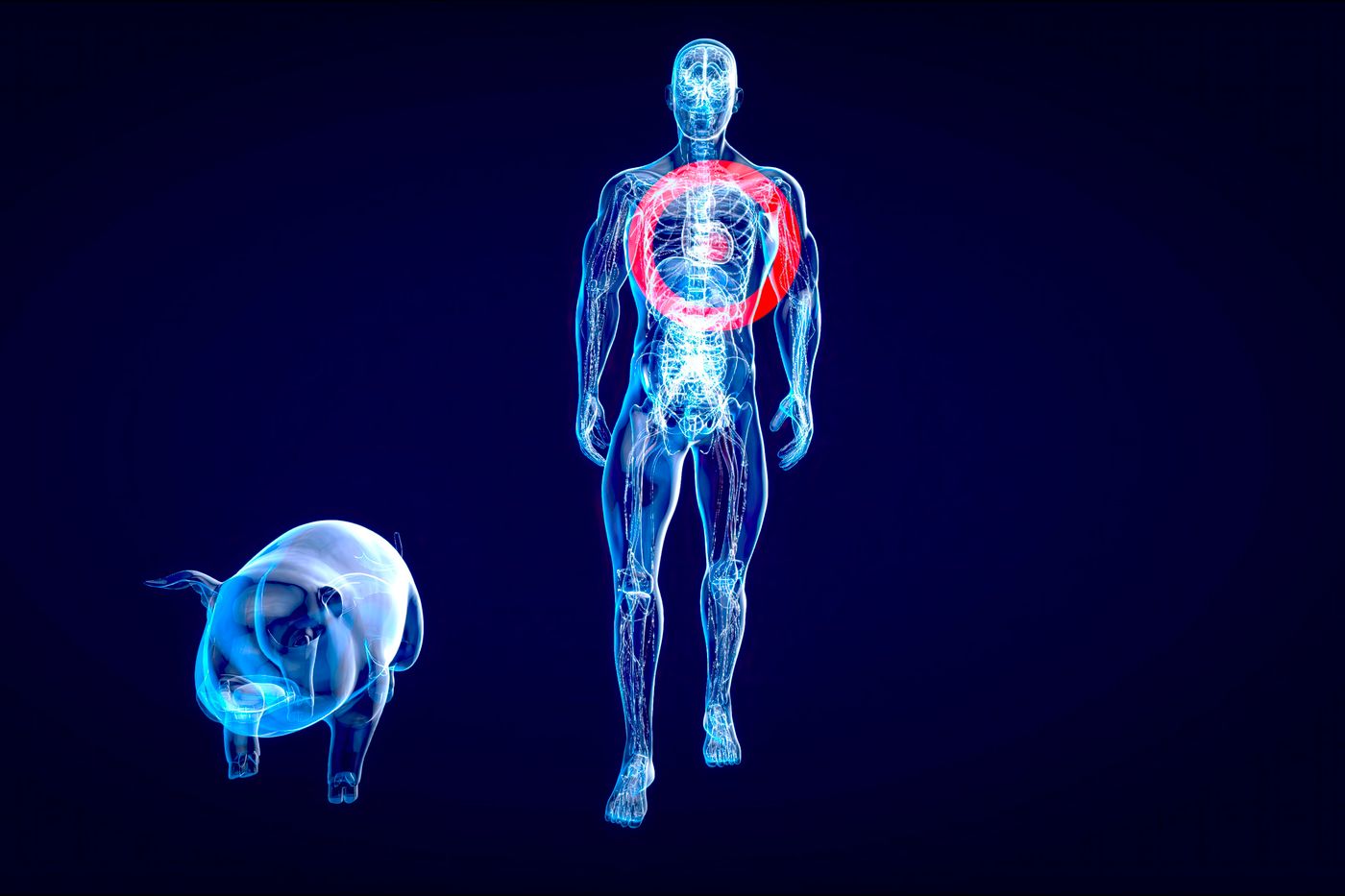 la France cherche sa place dans la course mondiale