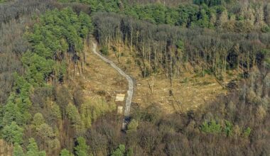 les pays de l’UE entaillent encore la loi