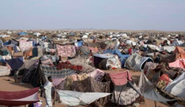 "Personne ne pouvait les arrêter": les paramilitaires accusés de viols systématiques au Soudan : Actualités