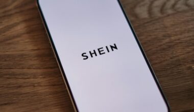 Shein : l’entreprise chinoise attaquée en justice par une centaine de marques françaises : Actualités