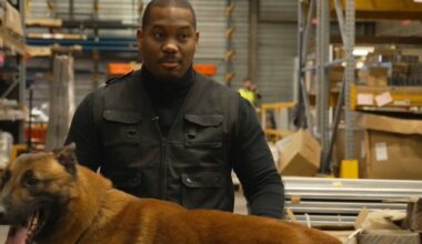 comment les chiens des gardiens pénitentiaires sont formés pour détecter des armes et des produits stupéfiants ?